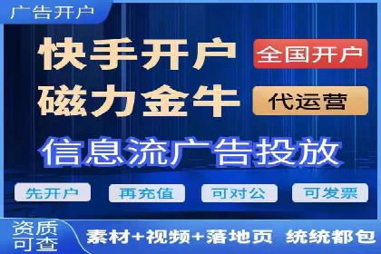 SEM搜索引擎优化：广告创意的策划与执行